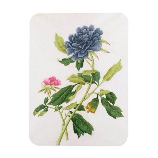 Imán Peony (Vertical)