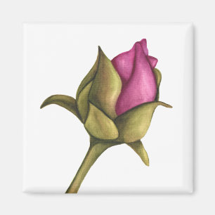 Imán Peony bud