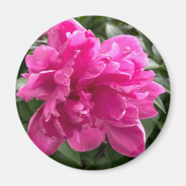 Imán Peony Magnet