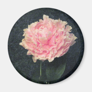 Imán Peony rosado