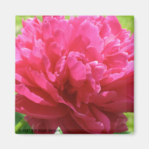 Imán Peony rosado