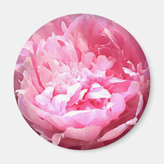 Imán Peony rosado con sombrero (Frente)