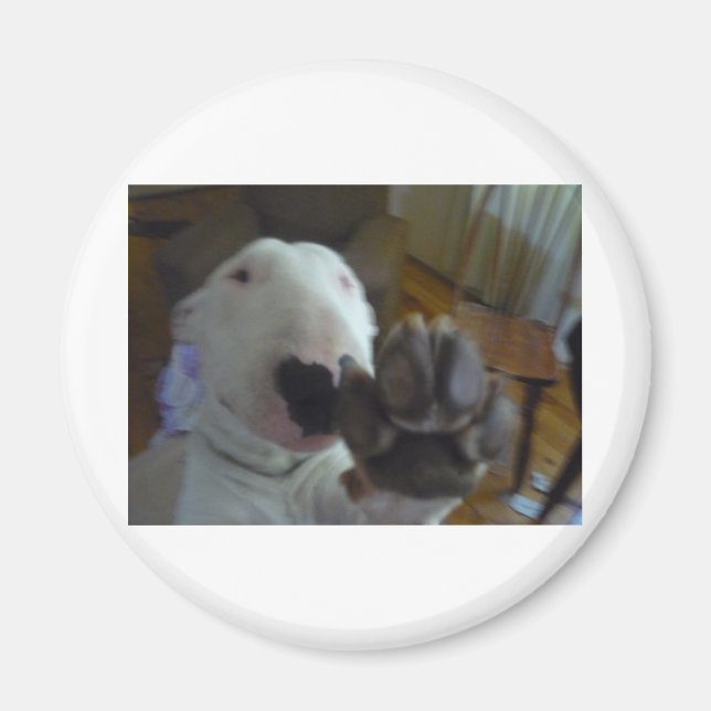 Imán pepita de bulto (Frente)