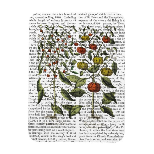 Imán Peppers 4 (Vertical)