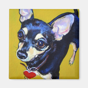 Imán Pequeña chihuahua deshilvanada - chihuahua del