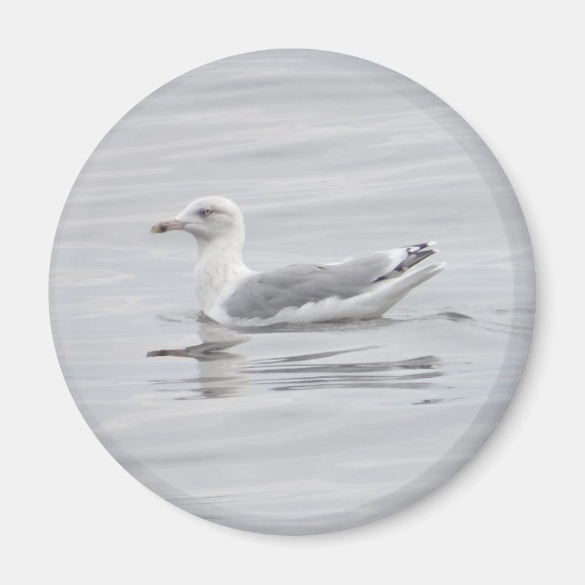 Imán Pequeña gaviota (Frente)