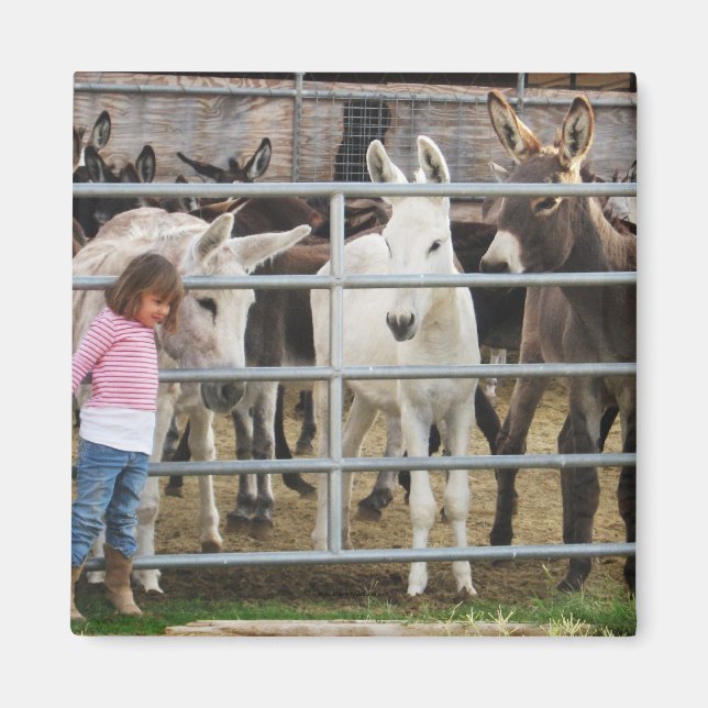 Imán Pequeña y burra (Frente)