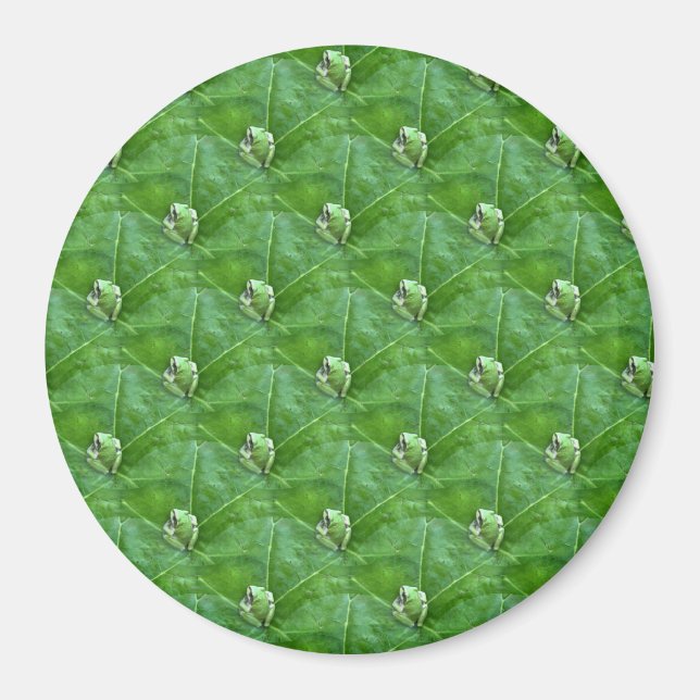 Imán Pequeñas ranas. (Frente)