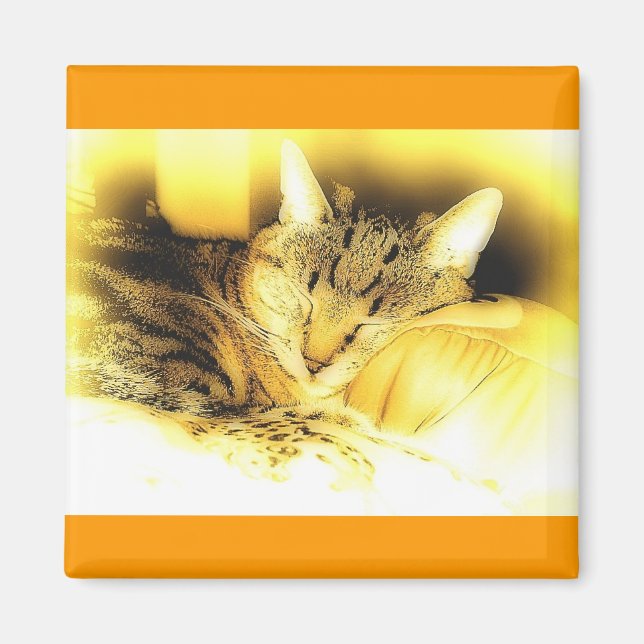 Imán Pequeño añil dulce (Frente)