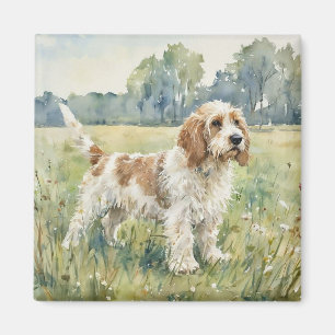 Imán Pequeño Basset Griffon Vandeen - PBGV