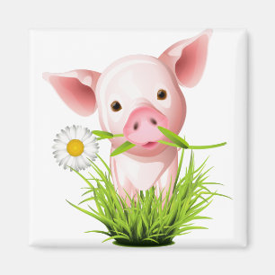 Imán Pequeño cerdo rosado en hierba