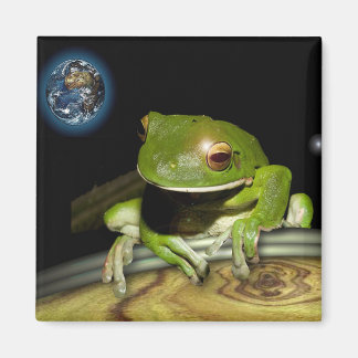 IMÁN PEQUEÑO FRONTERA VERDE