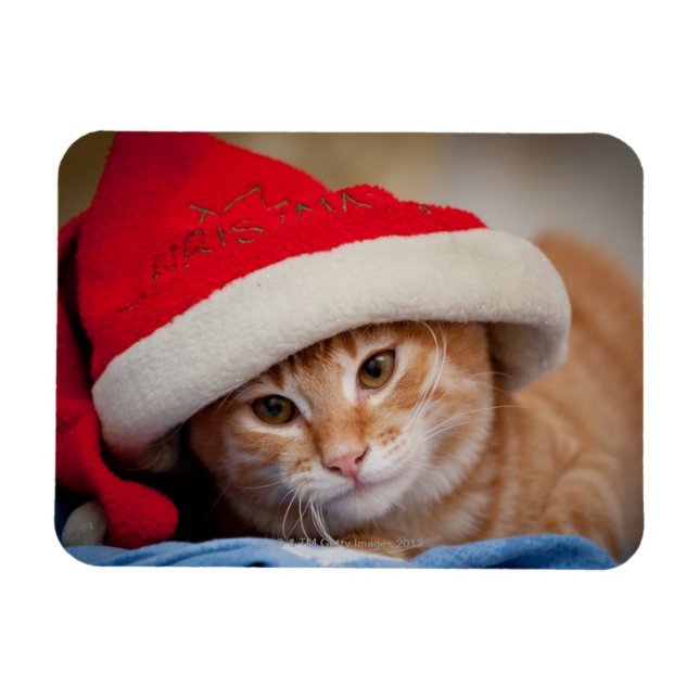 Imán Pequeño gatito en Gorra de Navidades rojos (Horizontal)