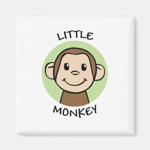 Imán Pequeño mono
