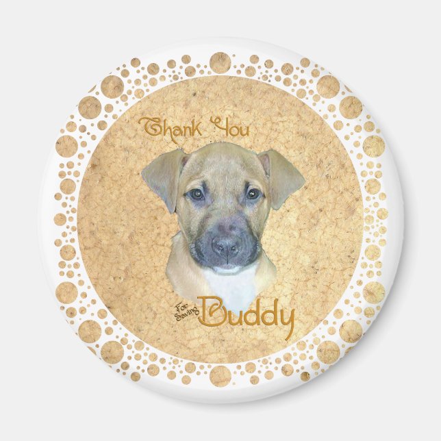 Imán Pequeño Perro Herido - ¡Rescatado! (Frente)