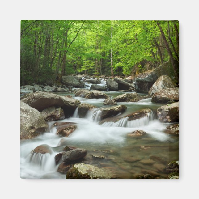 Imán Pequeño río de paloma en Greenbrier (Frente)