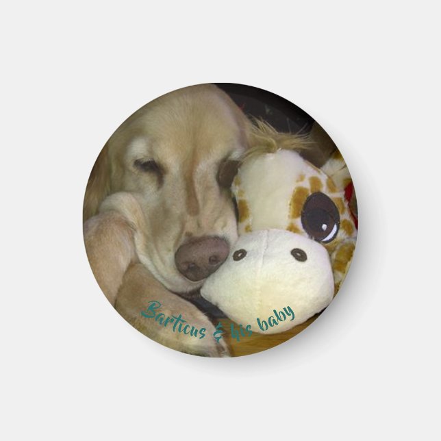 Imán Pequeño y redondo Barticus y Giraffe Magnet (Frente)