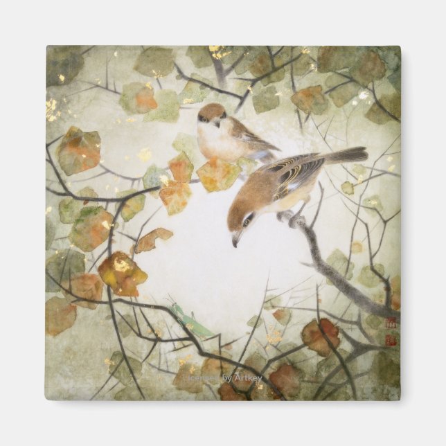 Imán Pequeños Shrikes con cabeza de toro (Frente)