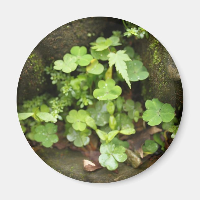 Imán Pequeños verdes (Frente)