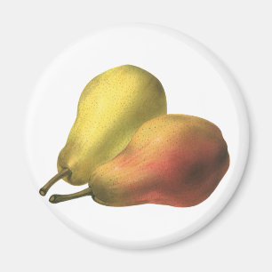Imán Peras Vintage, Alimentos Orgánicos, Fruta Madura