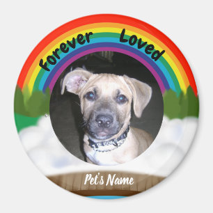 Imán Pérdida del mascota del puente del arco iris