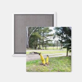 Imán Perdido en el jardín otra vez