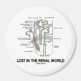 Imán Perdido En El Mundo Renal (Nefron Renal)