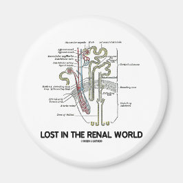 Imán Perdido En El Mundo Renal (Nefron Renal)