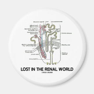 Imán Perdido En El Mundo Renal (Nefron Renal)