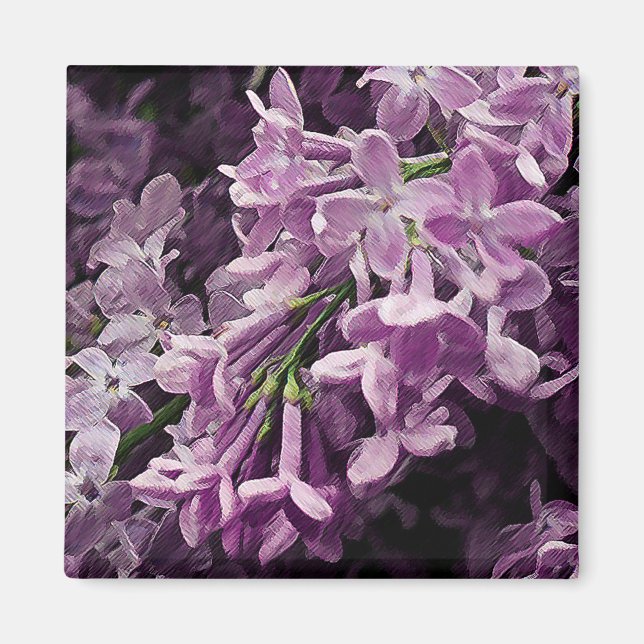 Imán Perdido en Lilac (Frente)