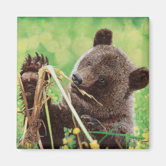 Imán Perdido en maravilla