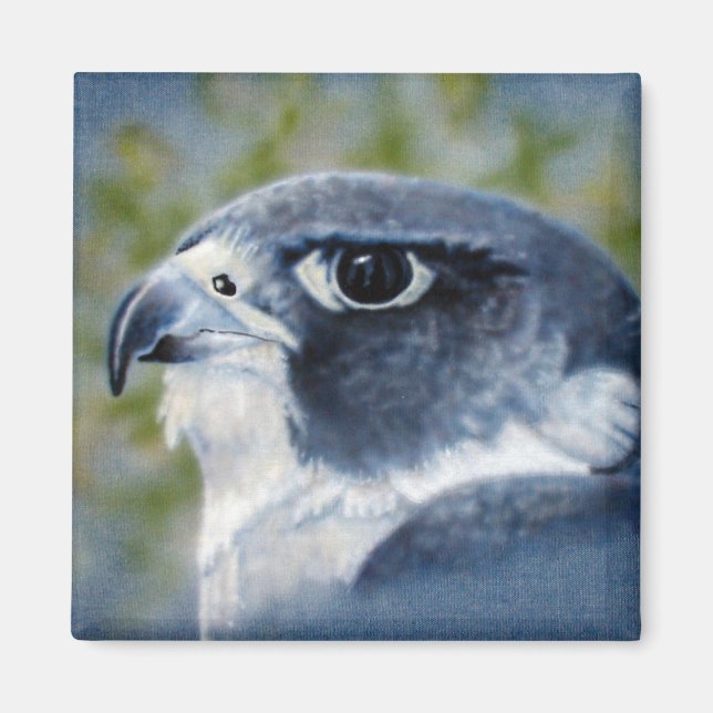 Imán Peregrine-aircepillo (Frente)