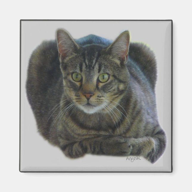 Imán perfecto (Frente)