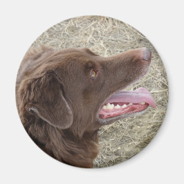 Imán Perfil de Flatlandersam P4