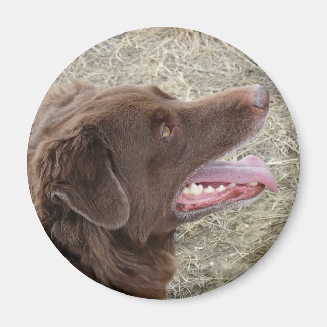 Imán Perfil de Flatlandersam P4 (Frente)