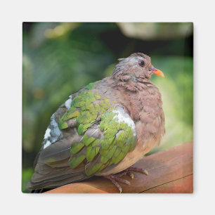 Imán Perfil de la paloma de esmeralda y percha