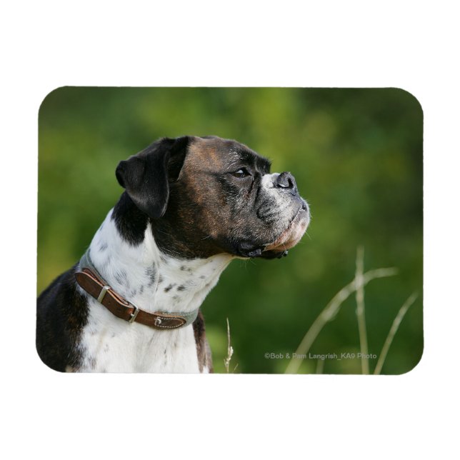 Imán Perfil de perro de Boxer (Horizontal)