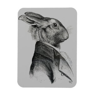 Imán Perfil de retrato de conejo