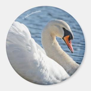 Imán Perfil de un cisne mudo