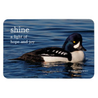 Perfil de un Goldeneye de Barrow