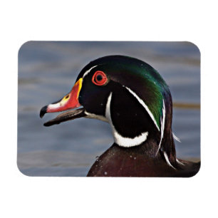 Imán Perfil de un pato de madera