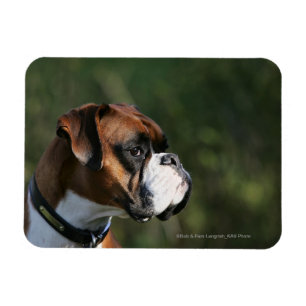 Imán Perfil lateral del perro del Boxer