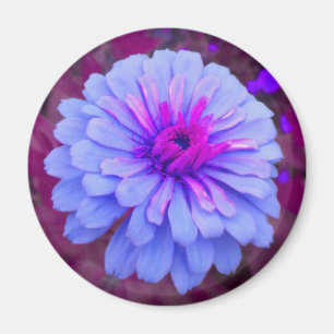 Imán Periwinkle n Pink Zinnia Magnet