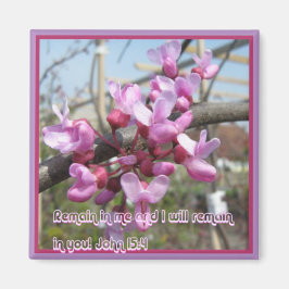 Imán Permanecer en mí...