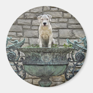 Imán Perrito de Dogo Argentino real