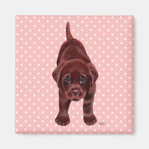 Imán Perrito de Labrador del chocolate