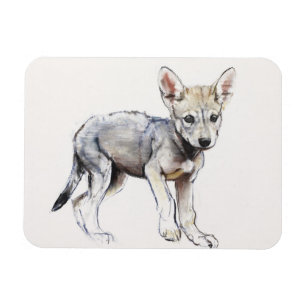 Imán Perrito de lobo árabe de la vacilación 2009
