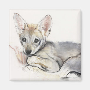 Imán Perrito de lobo árabe encrespado 2009