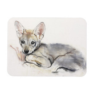 Imán Perrito de lobo árabe encrespado 2009