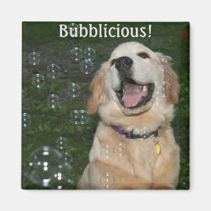 Imán Perrito del golden retriever de Bubblicious